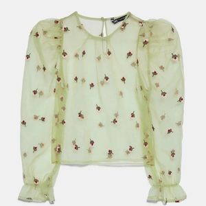 Zara: green sheer top